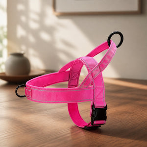 Harnais tactique anti-traction porté par un chien