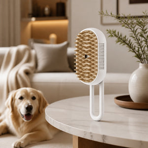 Kit Anti-Poils — Brosse Vapeur + Rouleau + Brosse Pro