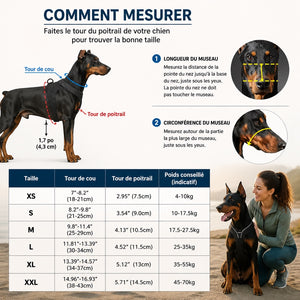 Muselière panier respirante portée par un chien