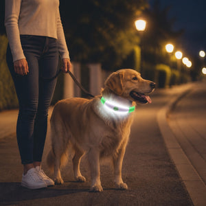 Collier LED rechargeable, coloris disponibles
