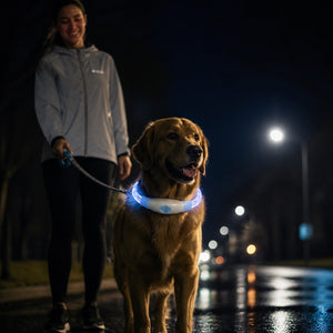 Collier LED rechargeable, éclairage nuit