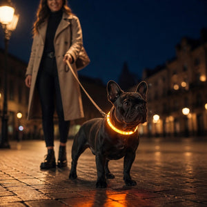 Collier LED rechargeable USB