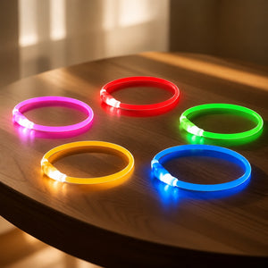 Collier LED rechargeable porté par un chien