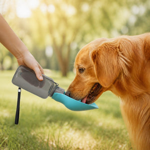 Distributeur d'eau 800 ml pour grands chiens