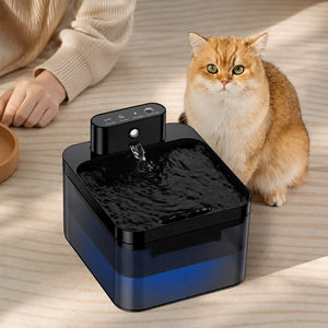 Fontaine à eau sans fil pour chat en situation