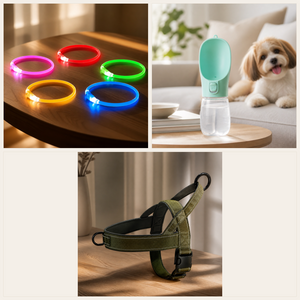 Kit Promenade — Harnais + Collier LED + Gourde 550 ml